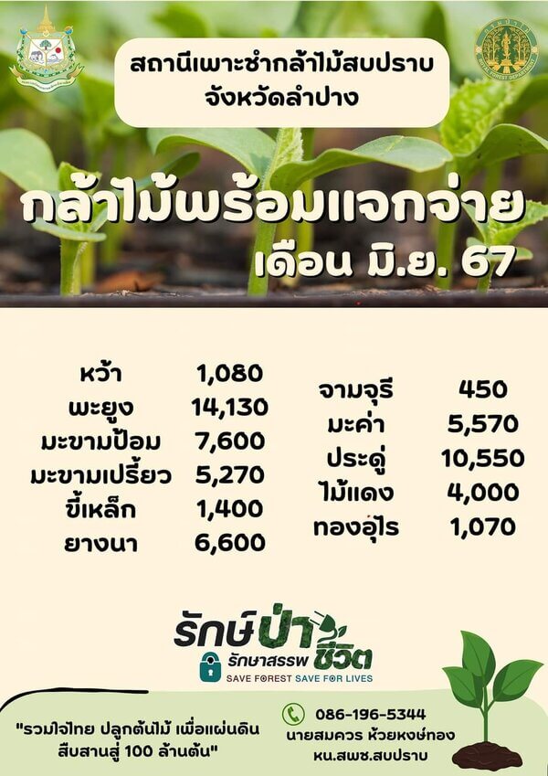 แจกกล้าพันธุ์ไม้สบปราบ จังหวัดลำปาง.jpg