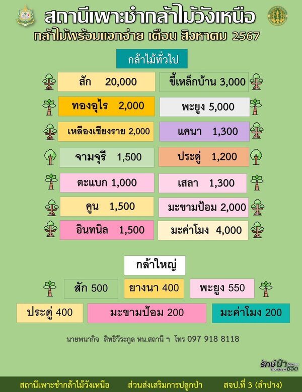 แจกกล้าพันธุ์ไม้วังเหนือ จังหวัดลำปาง.jpg