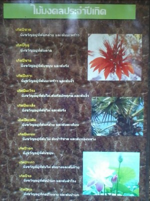 รูปภาพ1.jpg