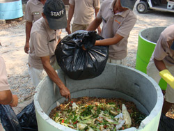 soi1.jpg