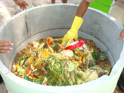 soi2.jpg